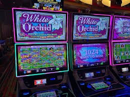 Video poker bandittoto di layar ponsel